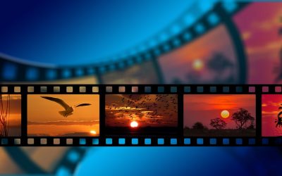 Video hosting: Youtube vs Vimeo